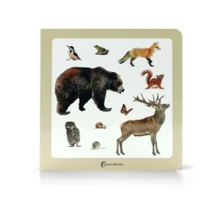 Animales del bosque 2