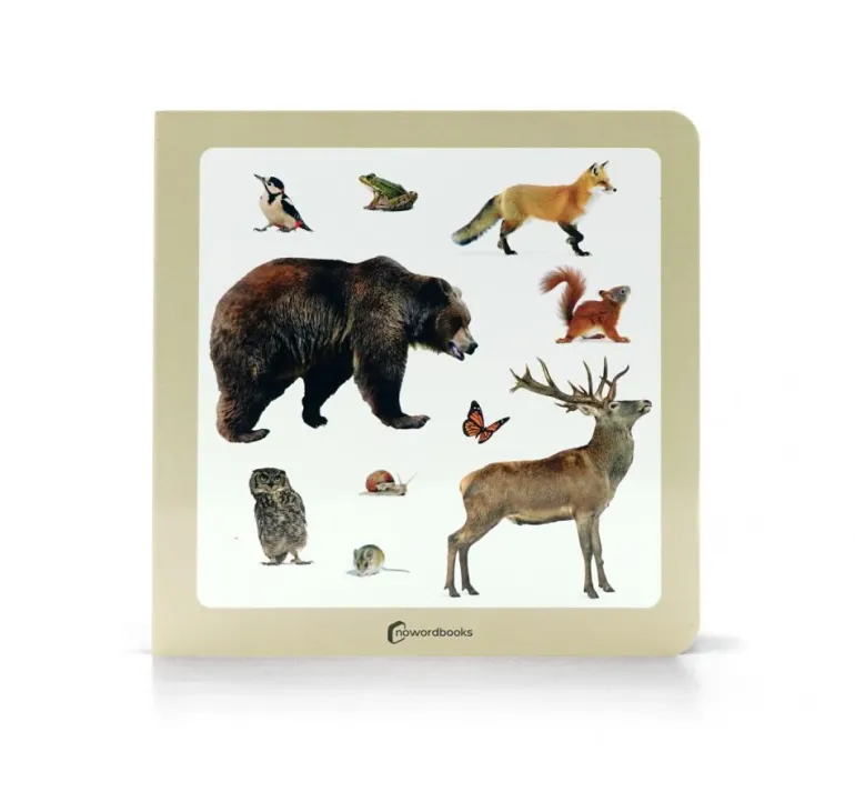 Animales del bosque 2