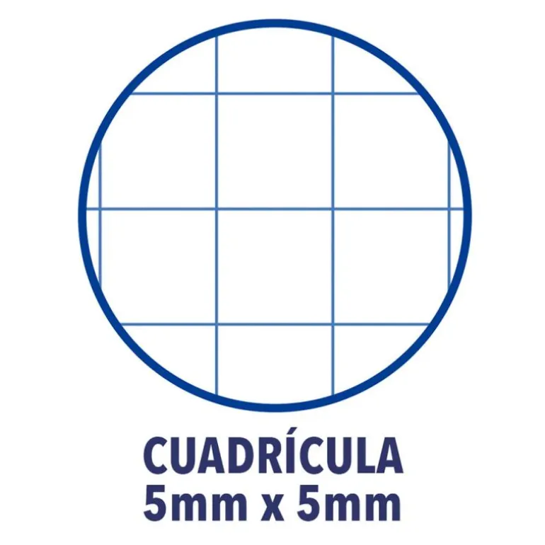 Bloc A4 cuadro 5mm. 150hj tapa extradura Oxford