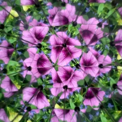 Caleidoscopio Huckleberry