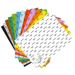 Cartulina pliego 50x65cm. paquete unicolor 25 unidades Canson Guarro