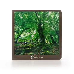 El bosque