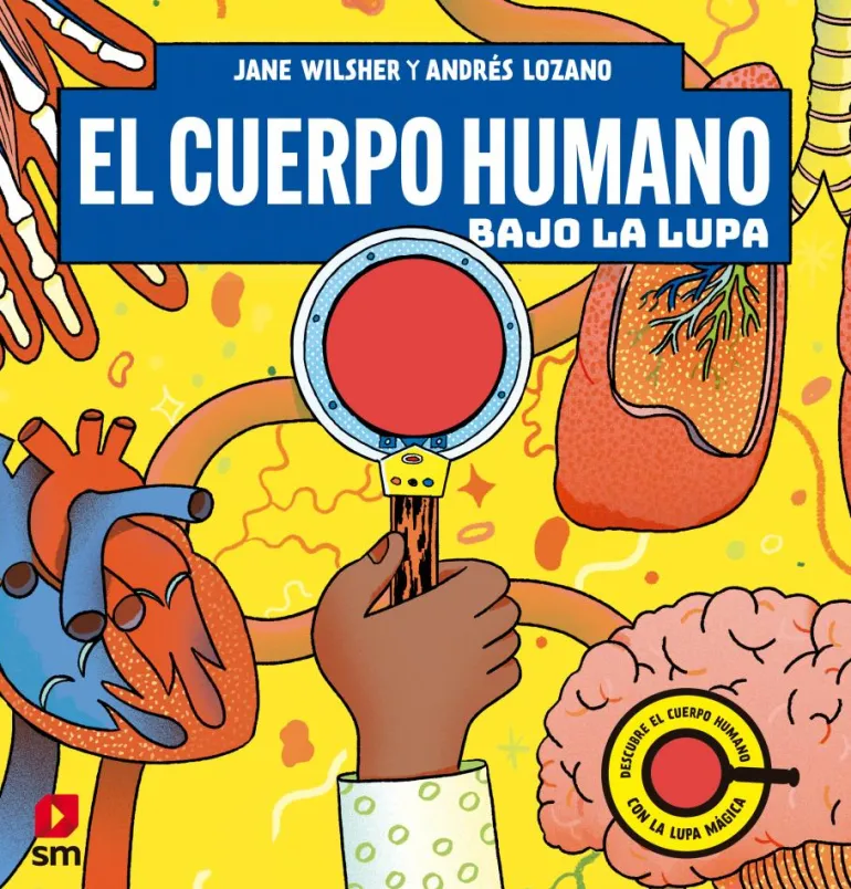 El cuerpo humano bajo la lupa