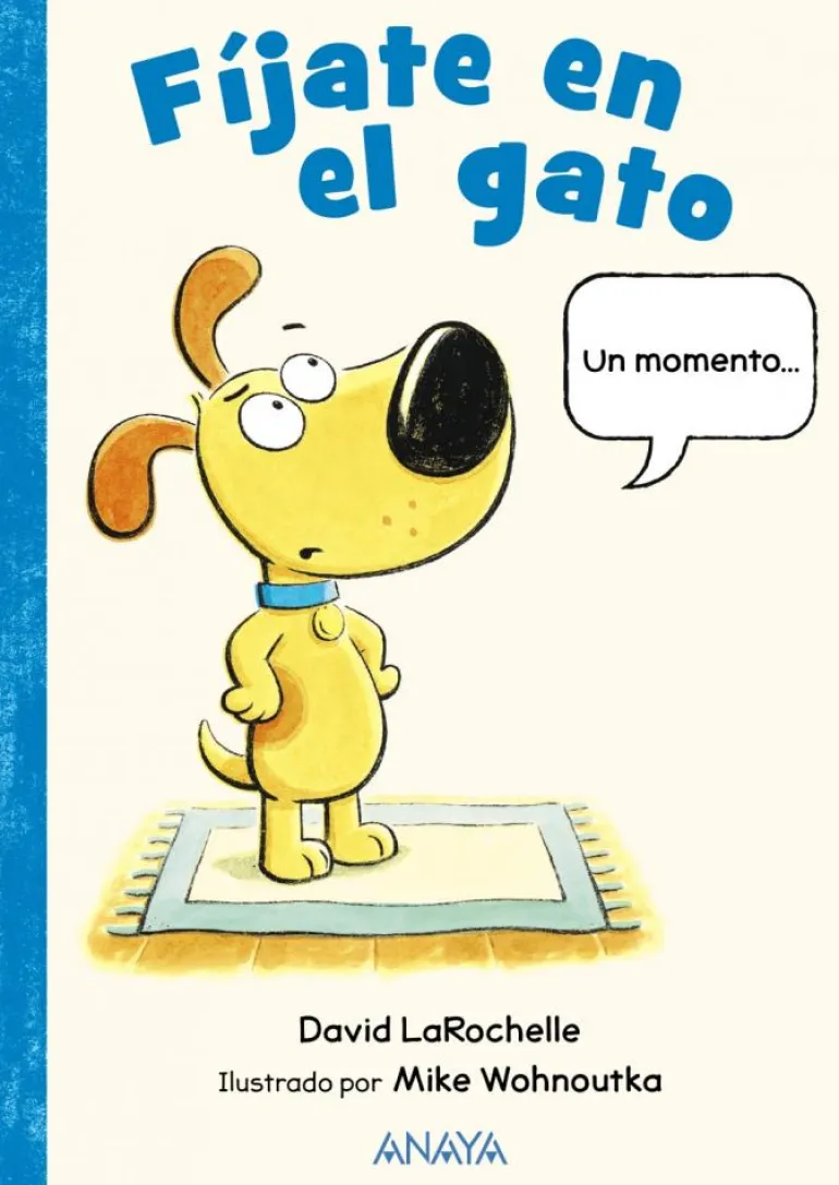 Fíjate en el gato