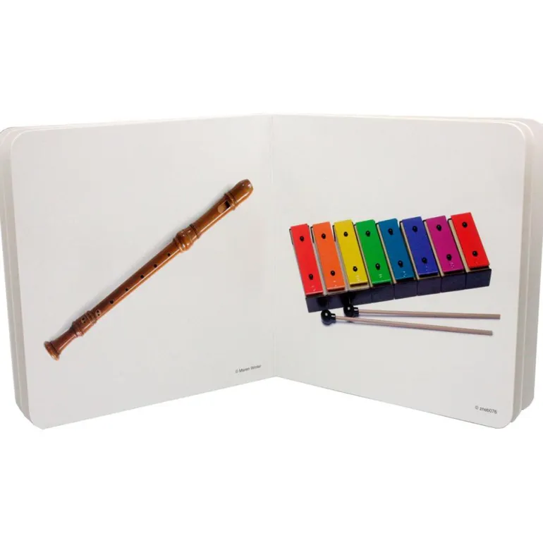 Instrumentos Musicales