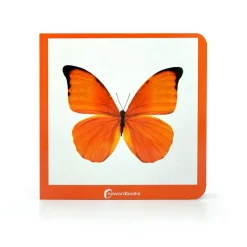 Naranja