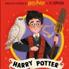 Pocket Potters - Harry Potter