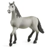 Potro pura raza española. Schleich