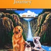 The incredible Journey (2 ESO). Activity Burlington